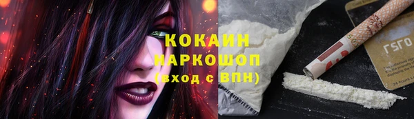 дживик Кукмор
