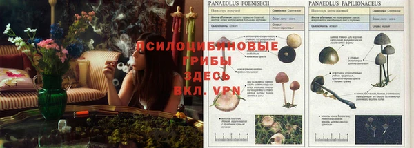 амфетамин Новосибирск