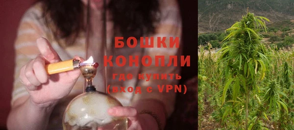сатива Санкт-Петербург