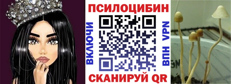 Галлюциногенные грибы Cubensis  где купить наркотик  кракен как войти  Зарайск 